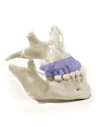 Trident Lab Printer Trident Lab| 3D Printing Service